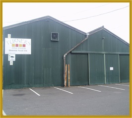 Unit 6