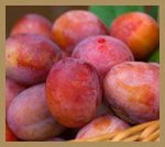 victoria-plums-inset
